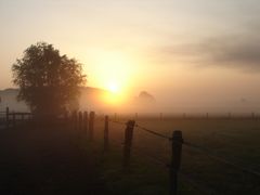 Bild_01