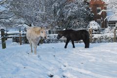 Bild_13