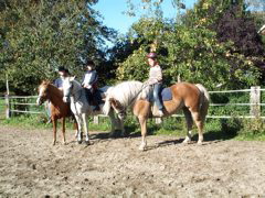Bild_15