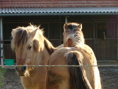 Bild_17