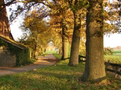 Bild_04