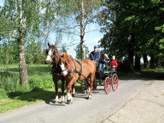 Bild_10